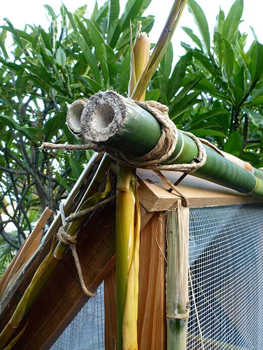 The Nuts and Bolts of the Tiki Coop Bamboo stalks tied together with jute twine