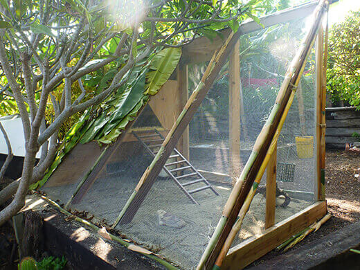 The Nuts and Bolts of the Tiki Coop The completed tiki coop