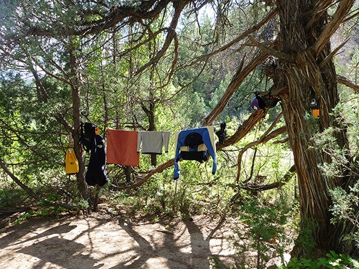 Kayak Camping on the Rio Chama Tree turned clothesline