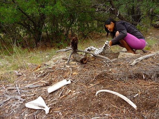 Kayak Camping on the Rio Chama Digging a little deeper