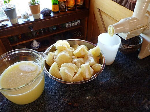 Grapefruit-Rosemary Jelly Extract 4 to 5 cups of fresh grapefruit juice