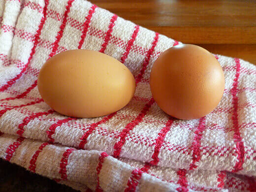 It's Eggs-citing Around Here Brown eggs from my Barred Rock and Golden Laced Cochin