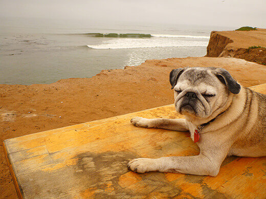 Life is Beautiful in Baja Life is simple in Baja