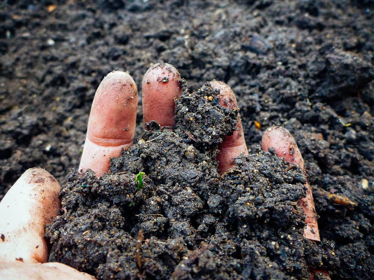 Getting Stoned on Soil Getting stoned on soil