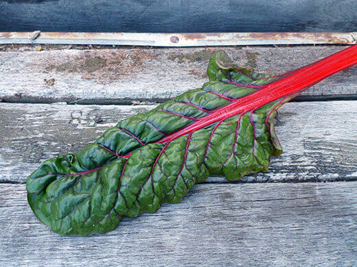 Summer-Lovin' Salad Greens Vulcan chard