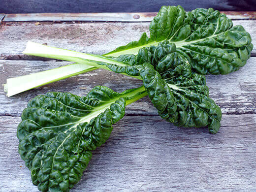Summer-Lovin' Salad Greens Yukina savoy