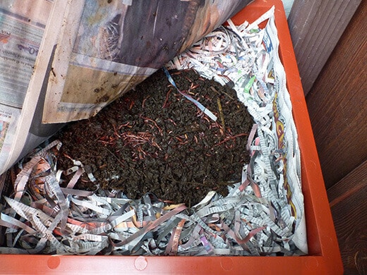 Vermicomposting: A Way With Worms Vermicomposting system