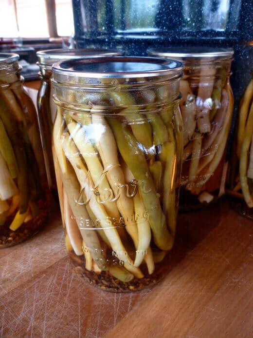 Pickled Dilly Beans Pickled dilly beans