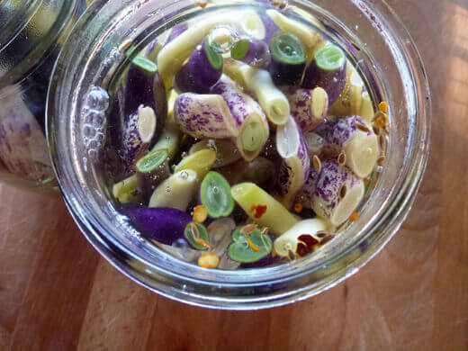 Pickled Dilly Beans Cover beans completely with brine