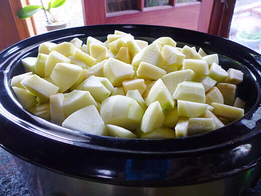 Fill a slow-cooker to the brim with chopped fruit