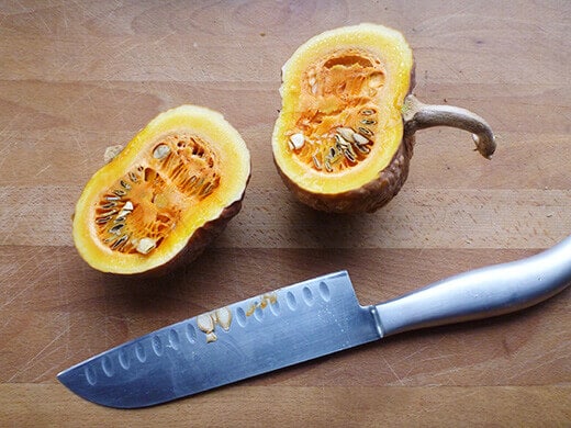 Black Futsu Squash Mature Black Futsu Japanese winter squash