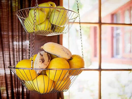 Five Things Friday 3 Garden bounty from my apple, orange and banana trees