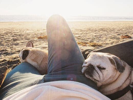 Happy Friday