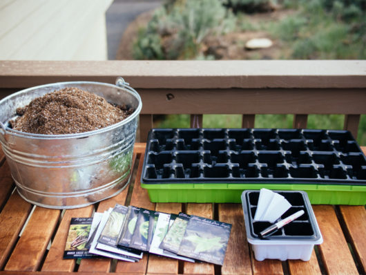 The No-Brainer Guide to Starting Seeds Indoors Cover seedlings with a dome to simulate a greenhouse effect