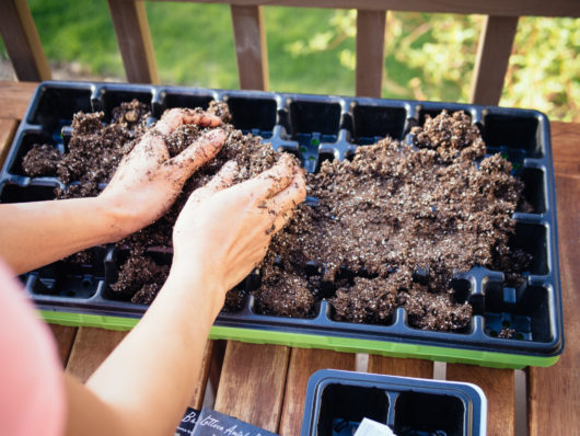 The No-Brainer Guide to Starting Seeds Indoors Keep your plastic dome vented for air circulation