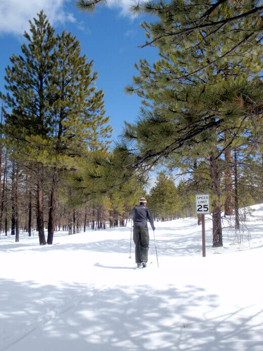 Cross-country skiing to the canyon rim