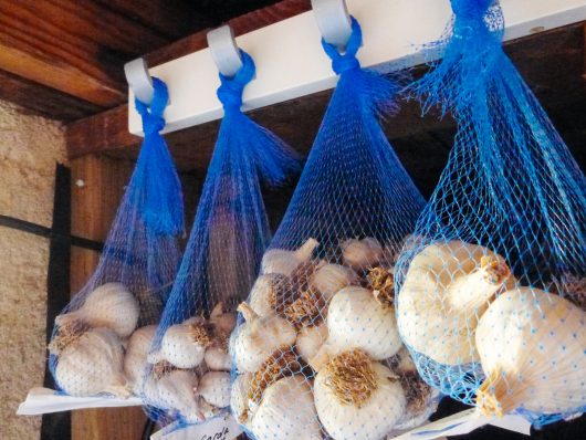 A Guide to Curing and Storing Garlic Garlic stored and hung in nylon mesh bags