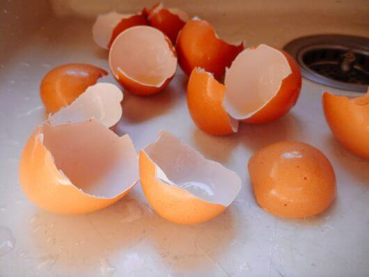 Starting Seeds in Eggshells... Cute and Yes, Even Practical! Start with clean eggshells