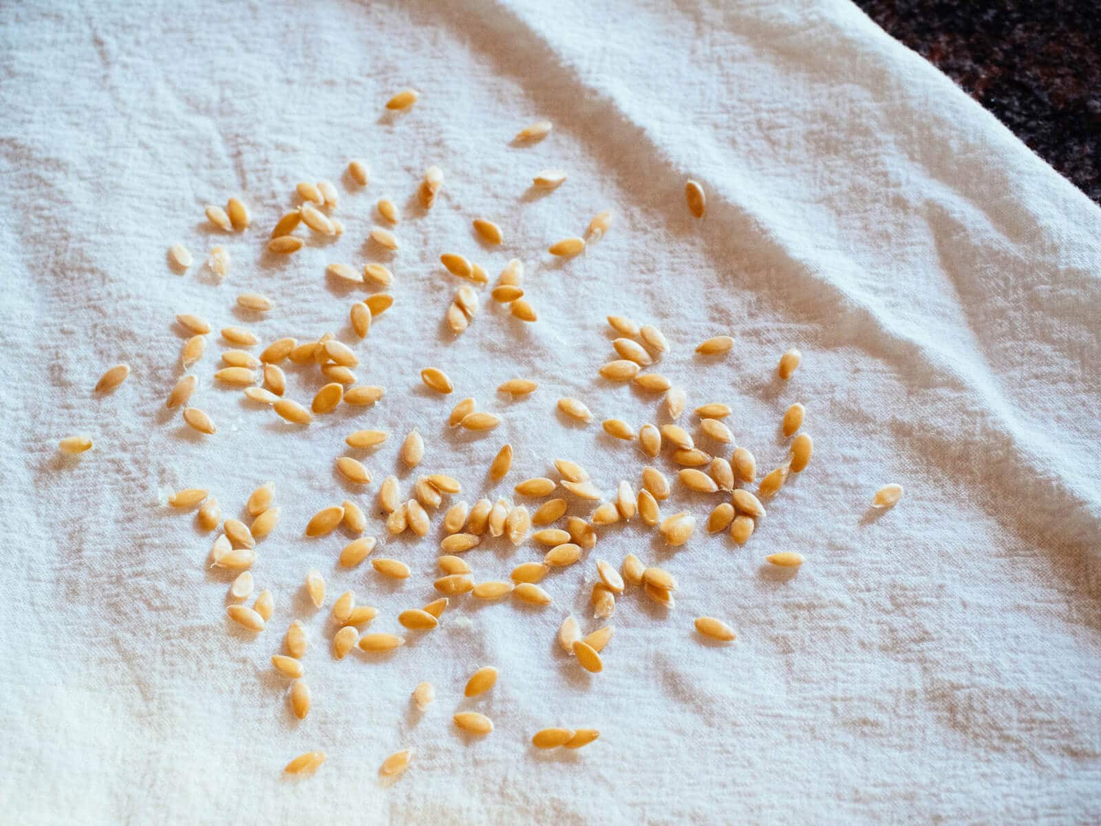 Seeds spread out to dry