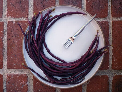 Chinese Red Noodle yardlong beans