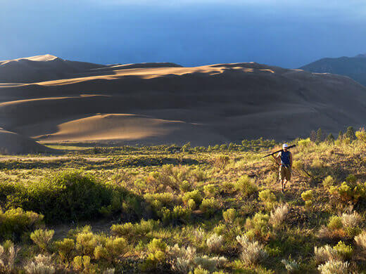 Post-monsoon glow on the dunes