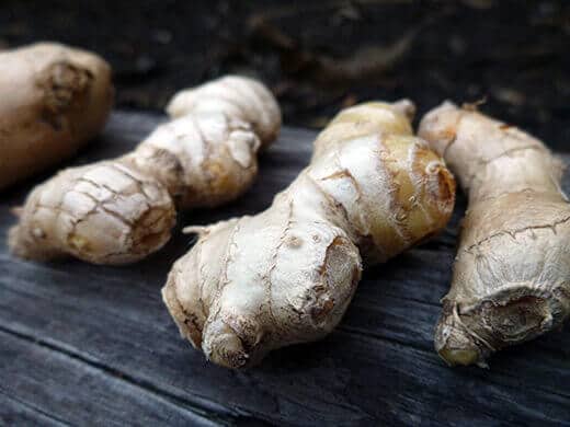 Homegrown ginger root