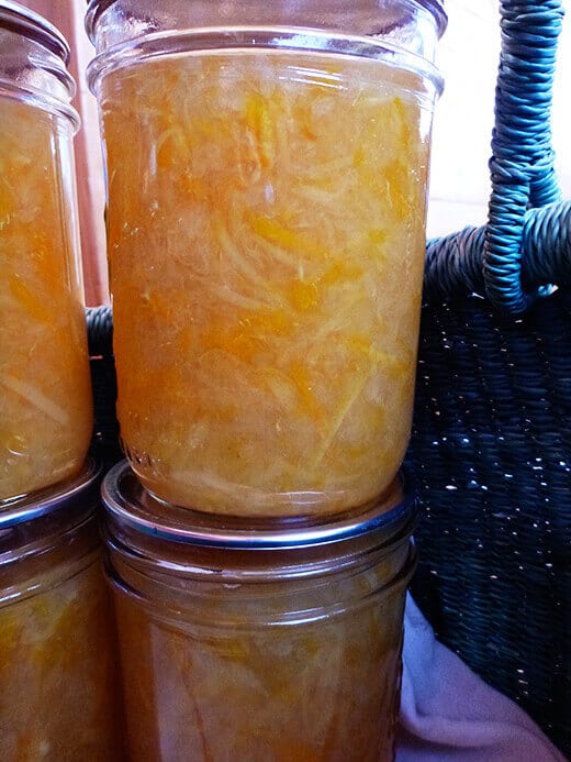 Jars of orange-grapefruit-ginger marmalade