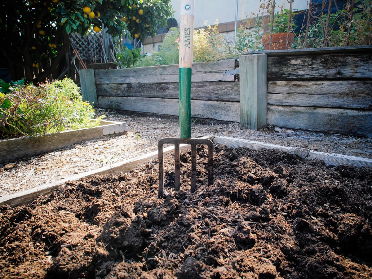 Productive garden soil is full of mind-altering (but harmless) bacteria that work like a natural antidepressant