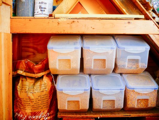 Garden Betty's Homemade Whole Grain Chicken Feed Whole grains stored in airtight bins