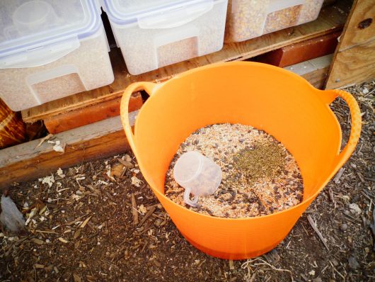 Garden Betty's Homemade Whole Grain Chicken Feed Mixing up grains, legumes and seeds for my homemade feed
