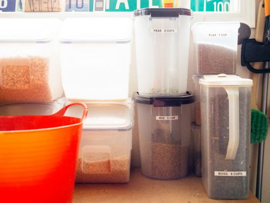 Storage containers filled with whole grains and seeds