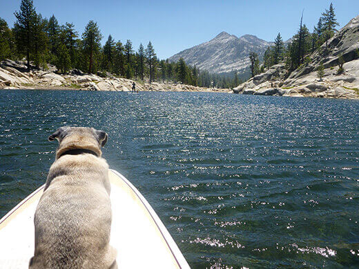 Paddling with my pug on Florence Lake