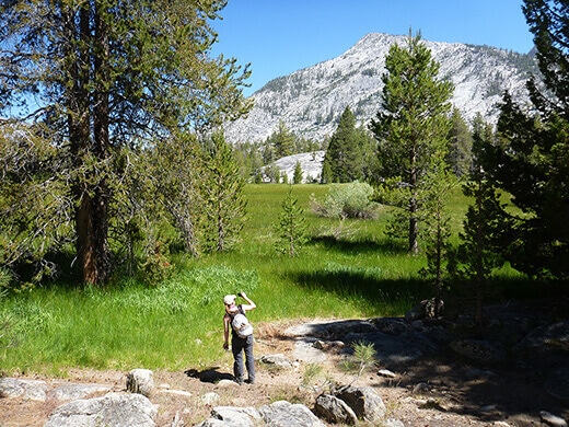 Granite peaks over a lush green meadow