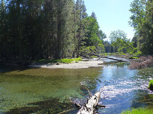 River tributary