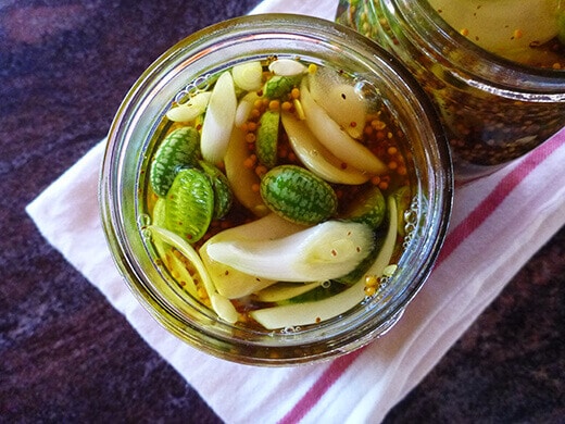 Bread and butter pickles