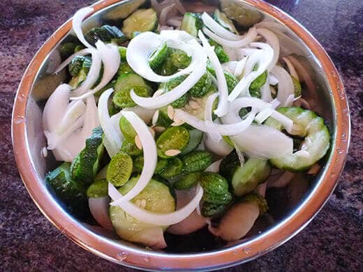 Combine cucumber and onion slices