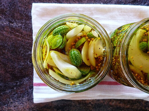Fill jars with pickling brine