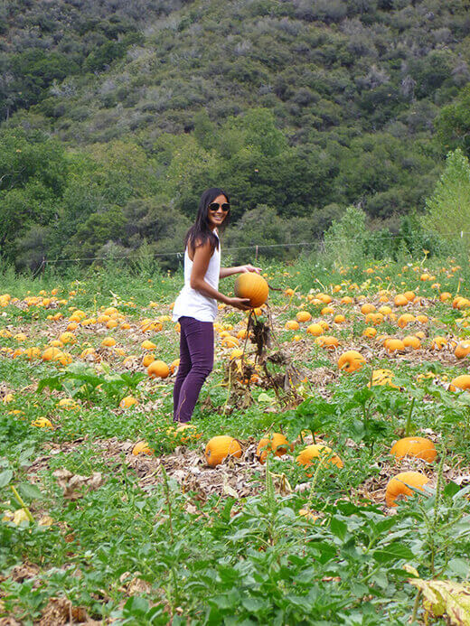 U-pick pumpkins