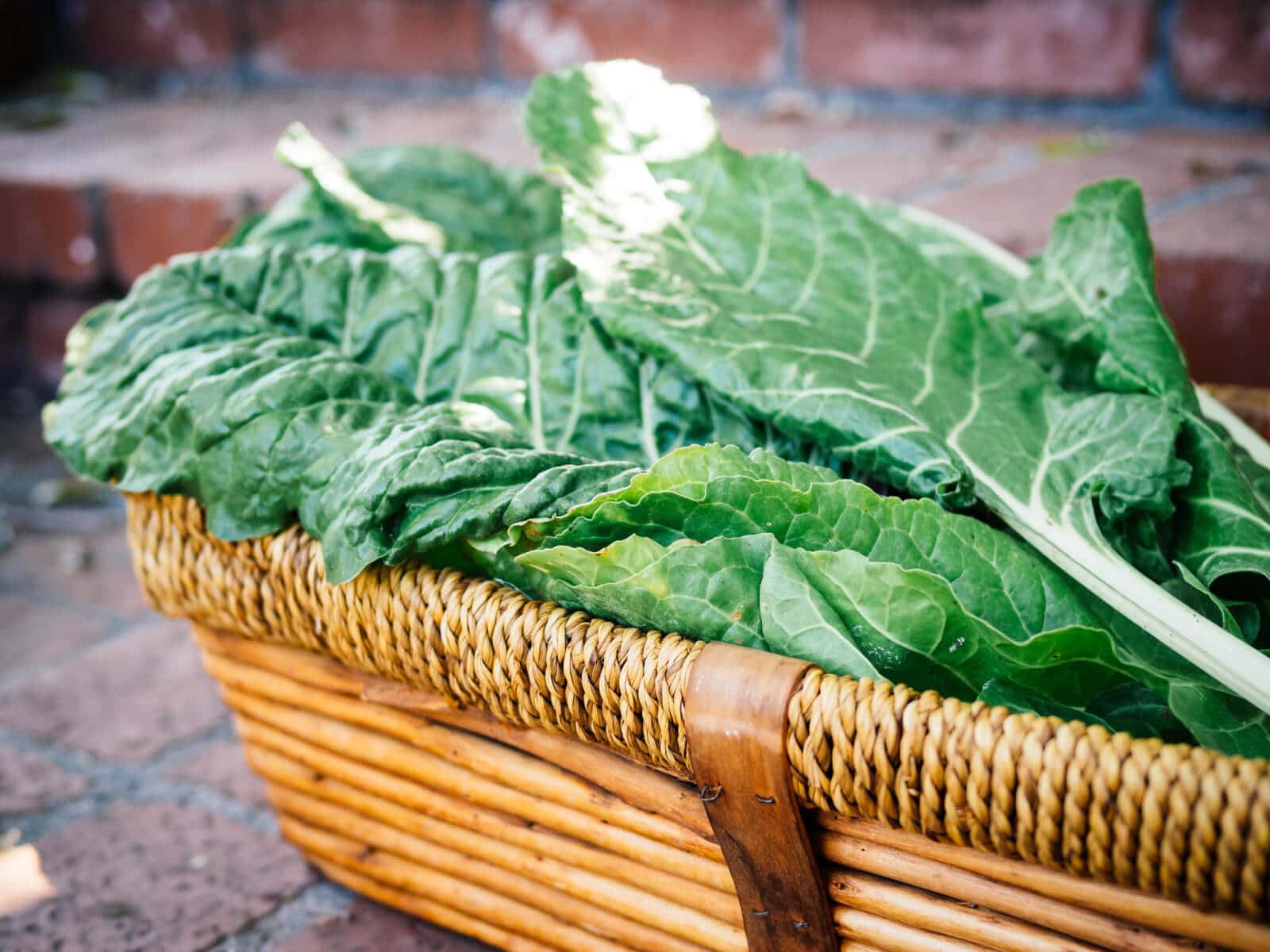 A steady supply of dark green leafy greens helps keep your chickens healthy in winter