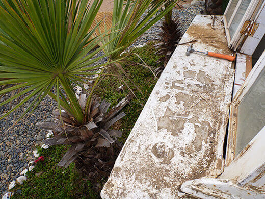 Rotting wood