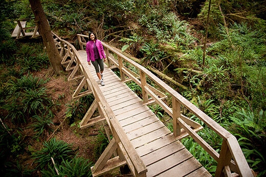 Schooner Beach Trail.