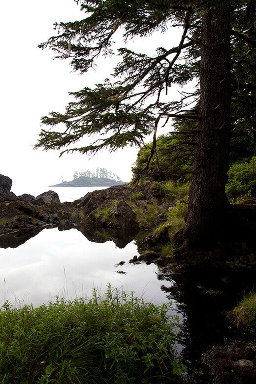 Wild Pacific Trail in Ucluelet.