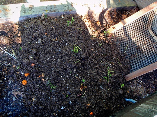Unsifted compost