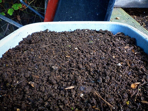 Sifted compost resembles fine, crumbly, beautiful black earth