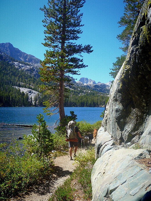 Following the Shadow Creek trail