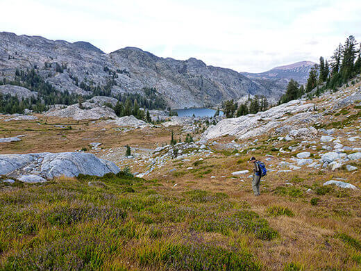 High mountain meadow