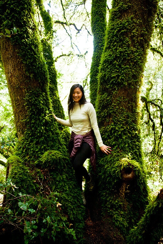Mossy oaks