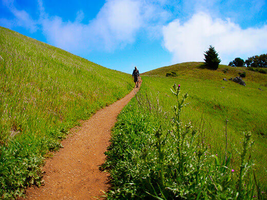 Rolling green hills on the Matt Davis Trail