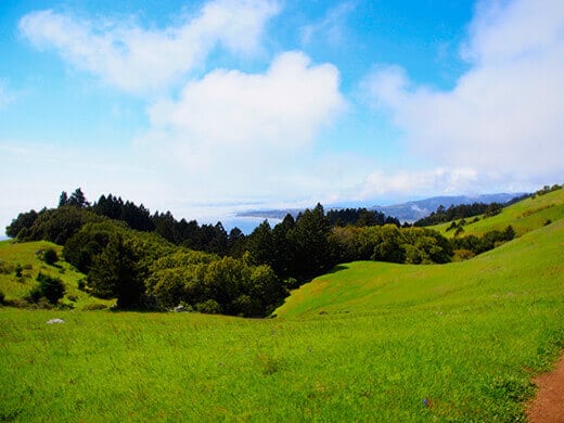 Peek at the Pacific from the Matt Davis Trail