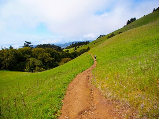 Matt Davis Trail